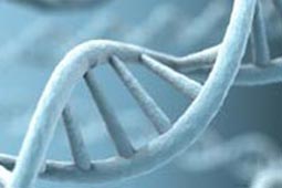 一秒发1000条电话的软件